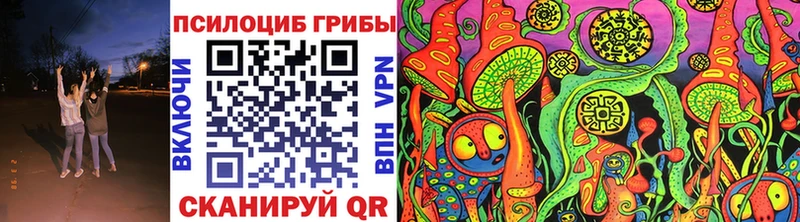KRAKEN tor  где купить наркотик  Вяземский  Псилоцибиновые грибы Cubensis 
