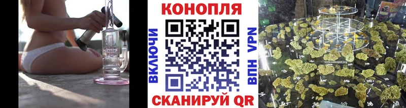 ОМГ ОМГ ТОР  Вяземский  Конопля сатива 